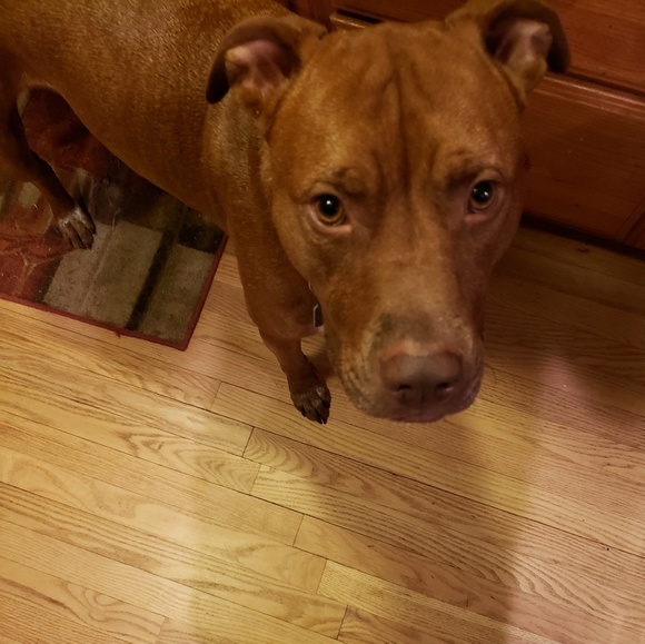 Meet your Posher, Sarah - Picture 1 of 1